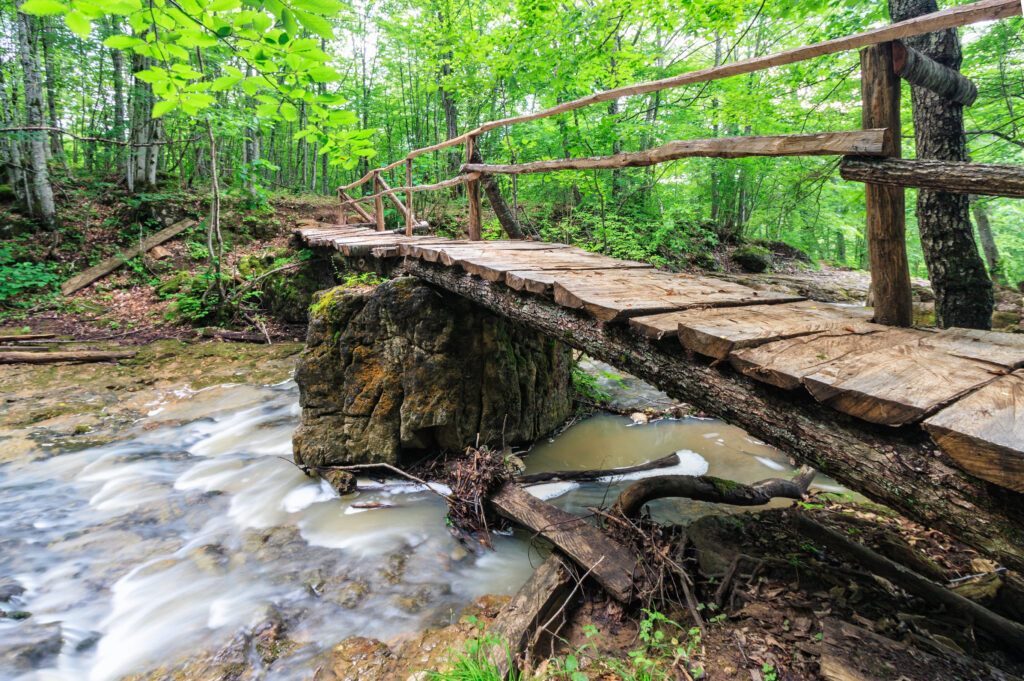 This is a picture of a rustic bridge.